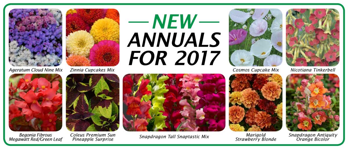 2017 New Annuals