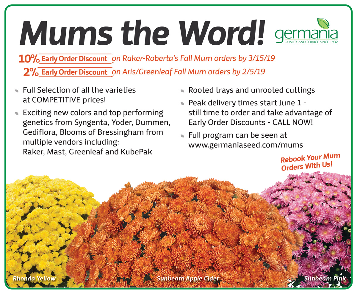 2019-mums-1200.jpg