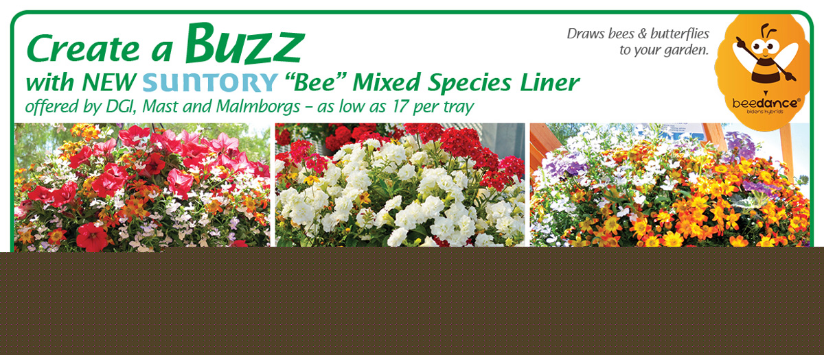 Suntory Bee Mix Combos