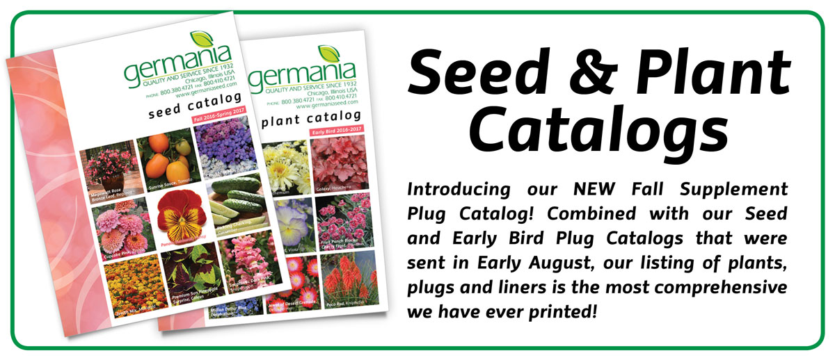 Seed and Plant Catalogs