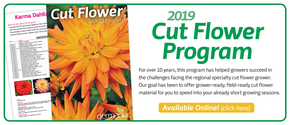 cut-flower-catalog-online_2019-1200.jpg