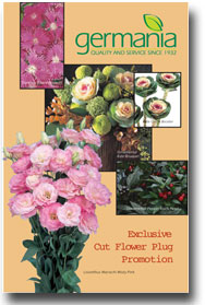 cut flower misc