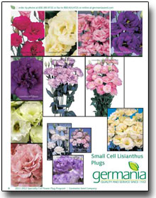 cut flower page 3