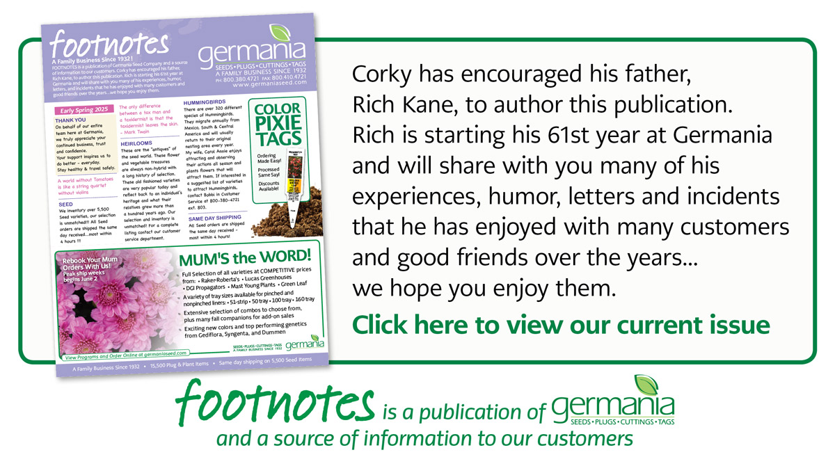 footnotes