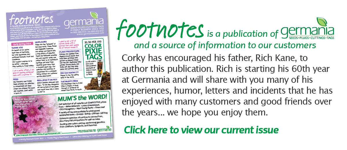 footnotes