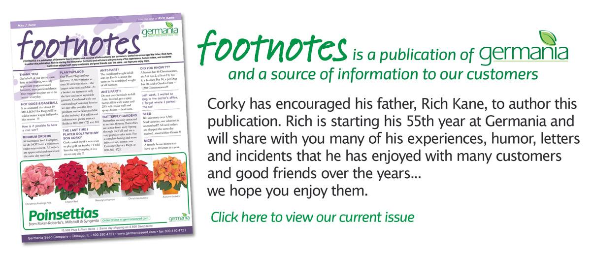footnotes