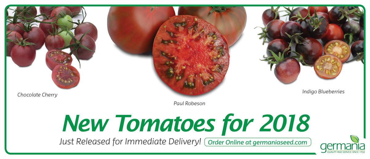 new-tomatoes-2018-1200