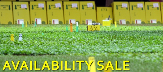 raker availability