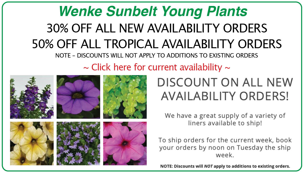 Wenke Sunbelt Special