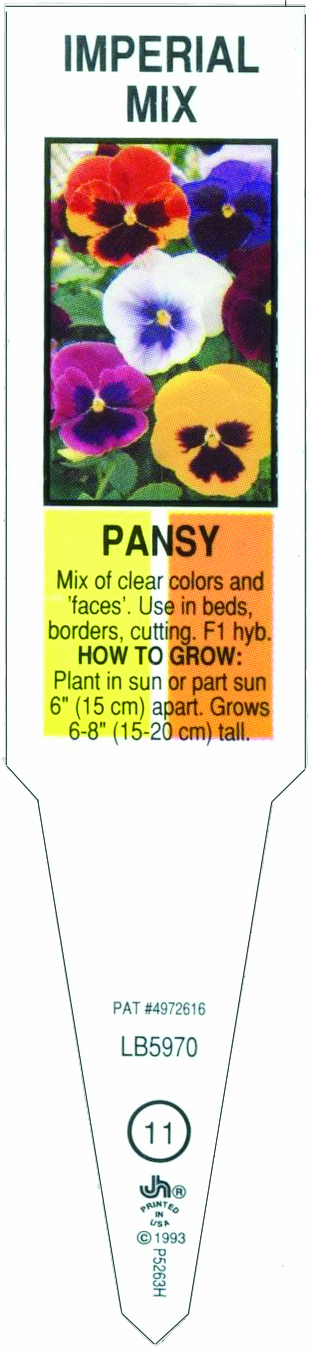 Pixie Tag