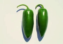Germania Seed