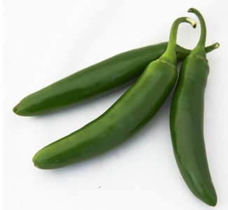 Germania Seed