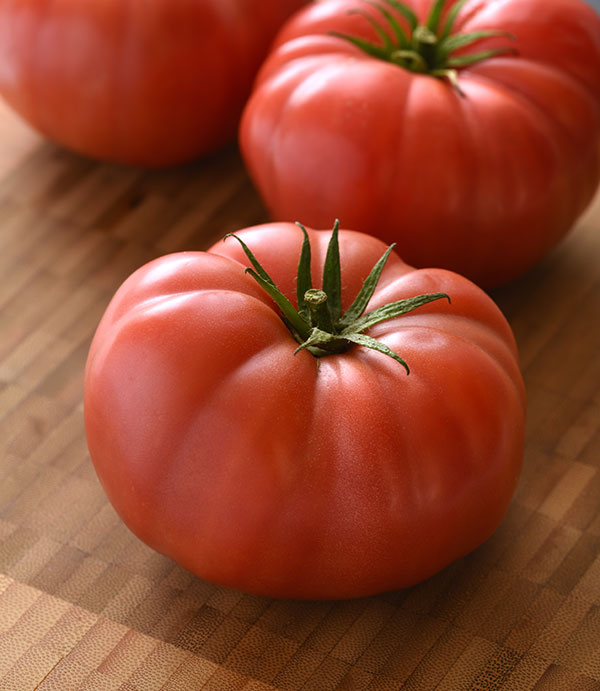 Germania Seed