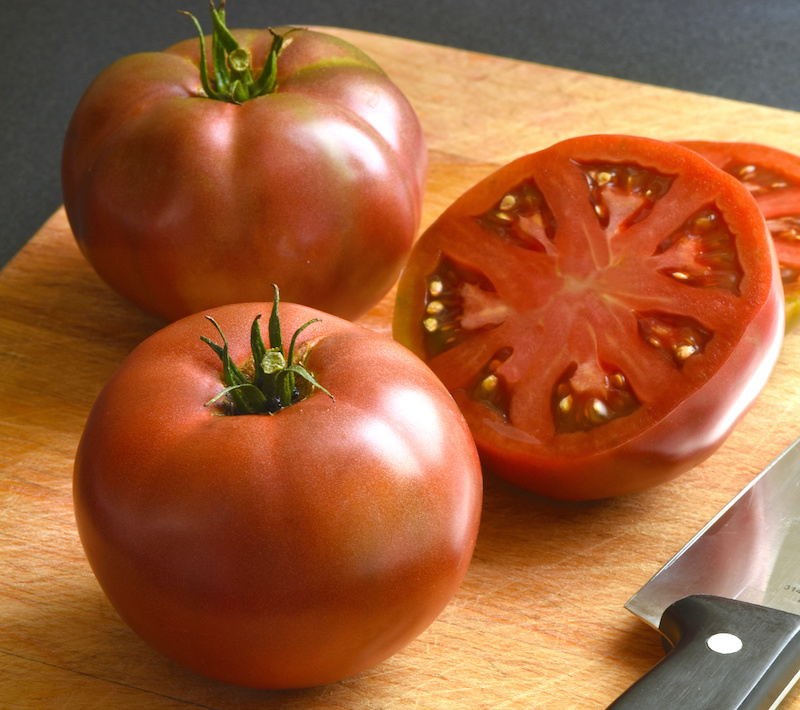 Germania Seed