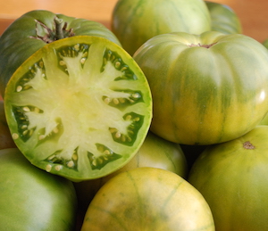 Germania Seed