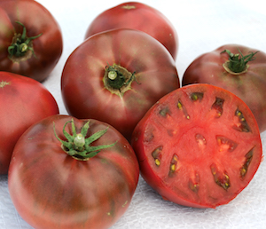 Germania Seed