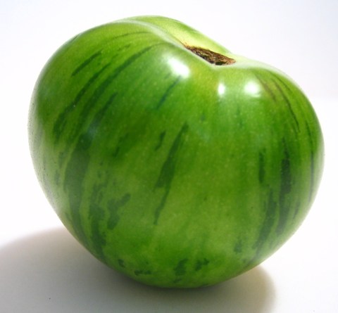 Germania Seed