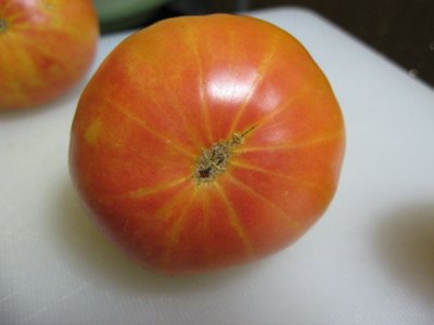 Germania Seed