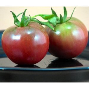 Germania Seed