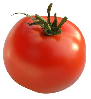 Germania Seed