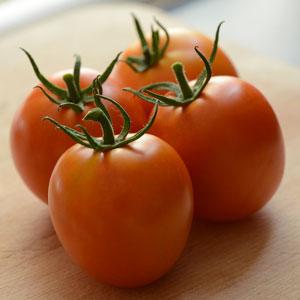 Germania Seed