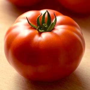 Germania Seed