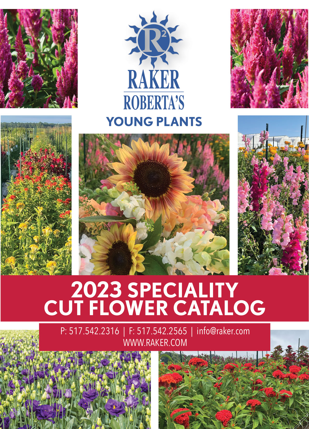 cut-flower-cover
